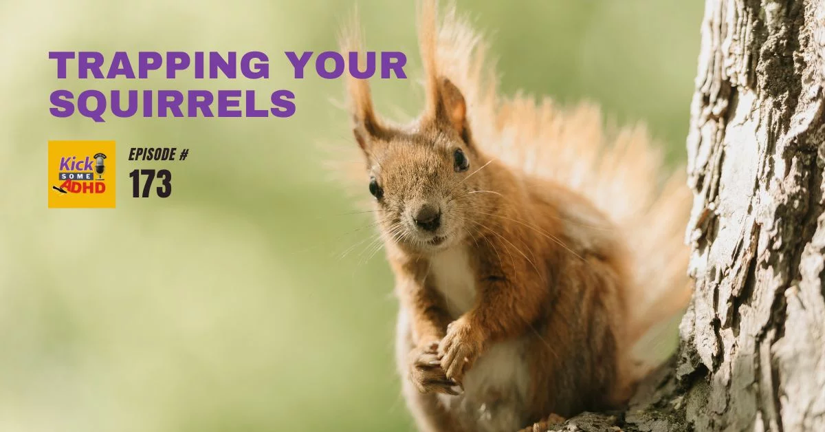 #173 Trapping Your Squirrels